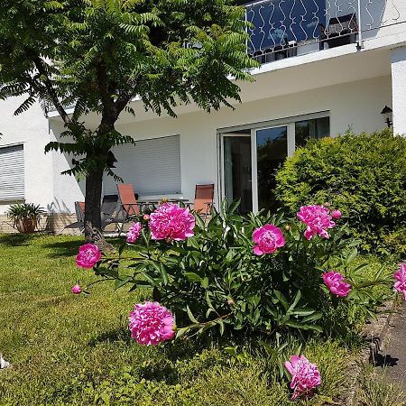 Rauszeit-Toroni Apartment Niedenstein Luaran gambar
