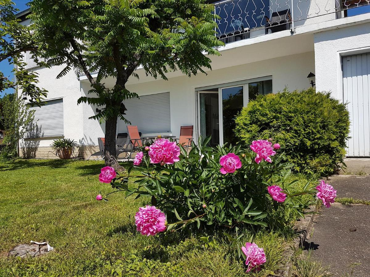 Rauszeit-Toroni Apartment Niedenstein Luaran gambar